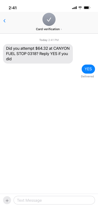 A text from a different number asking if the cardholder attempted the purchase, answered YES.
